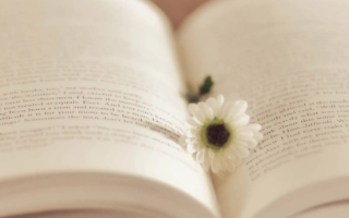 Dr.Jane專注皮膚管理，韓國加盟品牌，皮膚管理培訓中心：門店遍及全國20多個城市